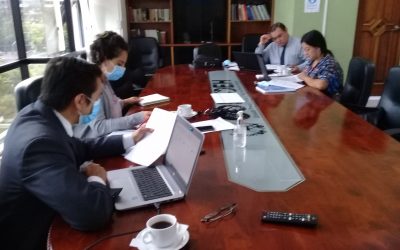 COPADEH y CONADI se reúnen para coordinar accones conjuntas en temas de discapacidad