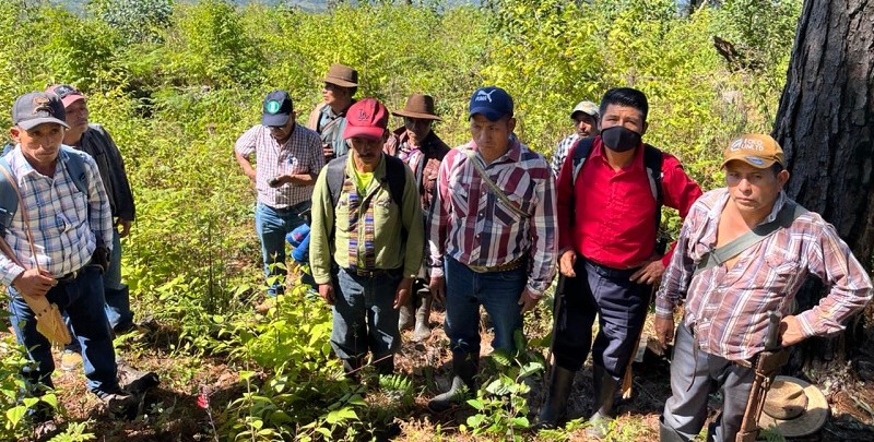 Planifican verificar linderos para la resolución del conflicto agrario