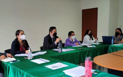 DIDEH se reúne de forma virtual con la CIDH para revisar portafolio de casos