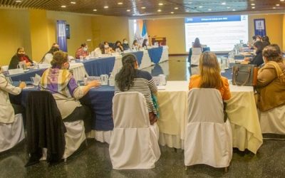 Unidad de Género participa en reunión del Consejo Consultivo en la SEPREM