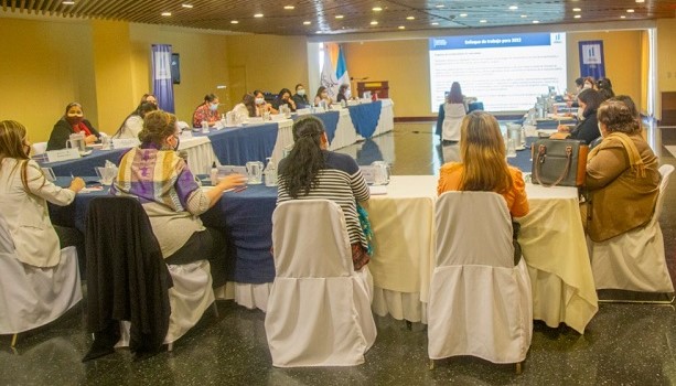 Unidad de Género participa en reunión del Consejo Consultivo en la SEPREM