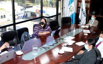 Presentan el plan de trabajo 2022 en reunión de trabajo con la OACNUDH
