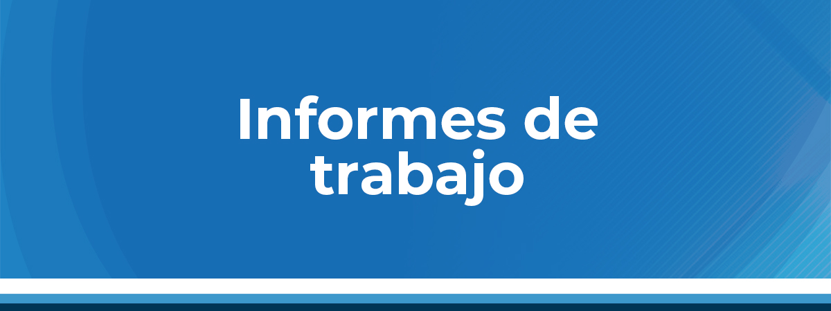 Informe de trabajo