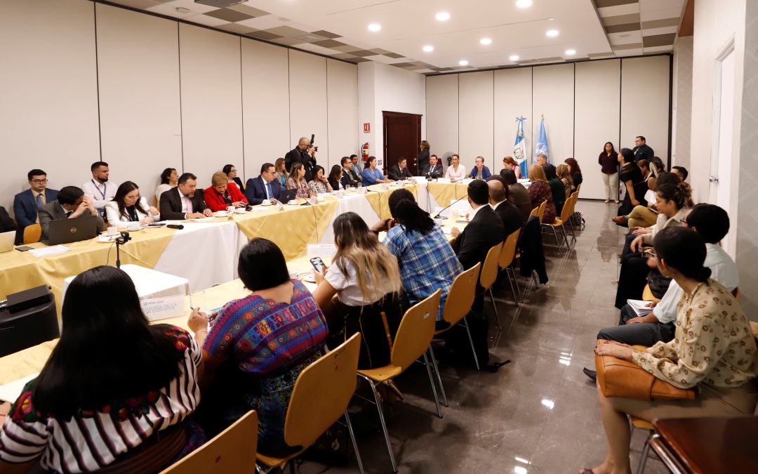 Director Ejecutivo participó en reunión del Comité para la Eliminación de la Discriminación contra la Mujer