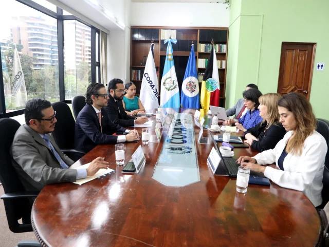 En el marco de la aplicación de los estándares interamericanos sobre los derechos de las mujeres y las medidas de no repetición; Autoridades de la COPADEH y el licenciado Julio Saavedra pgnguatemalaoficial, sostuvieron una reunión de trabajo con la Comisionada CIDH, Andrea Pochak, Relatora para Guatemala y la Secretaria Ejecutiva de la CIDH Tania Reneaum Panszi, quienes compartieron la necesidad de fortalecer las capacidades sobre el mecanismo de medidas cautelares y provisionales del Sistema Interamericano de Derechos Humanos.